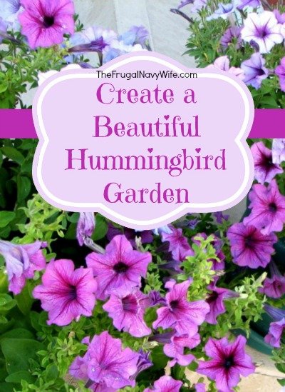 Create a Beautiful Hummingbird Garden - 01