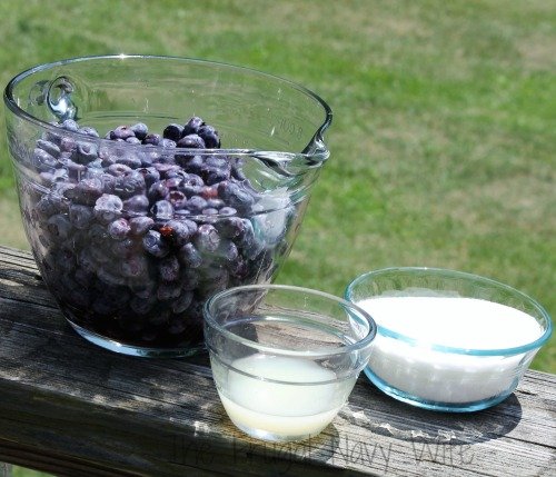 Easy Homemade Blueberry Syrup Recipe Ingredients
