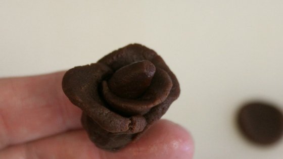 Rich Chocolate Roses Recipe