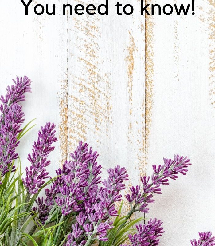 30 Easy Uses for Lavender Oil You Need to Know!