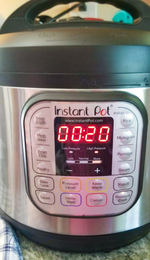 Instant Pot