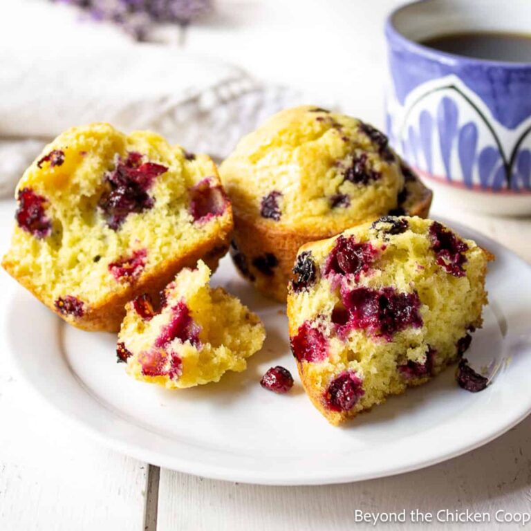 16 of the Best Huckleberry Recipes - The Frugal Navy Wife