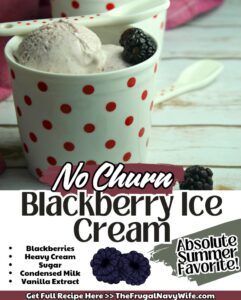 This no-churn blackberry ice cream is a delightful blend of simplicity and indulgence and is perfect for those hot summer days. #nochurn #blackberry #icecream #summer #dessert #easyrecipes #frugalnavywife | No Churn Blackberry Ice Cream | Dessert | Easy Recipes | Summer |